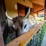 Pensjonat U Bobiho