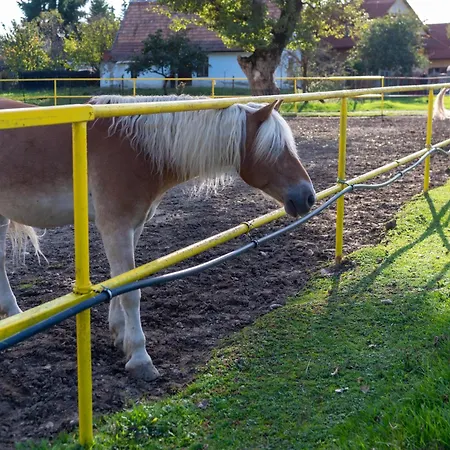 Penzión pre hostí U Bobiho Novy Tekov