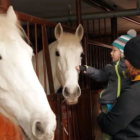 Gasthuis U Bobiho 3*