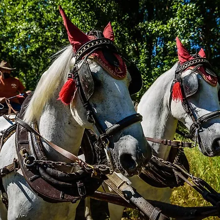 Gasthuis U Bobiho 3*