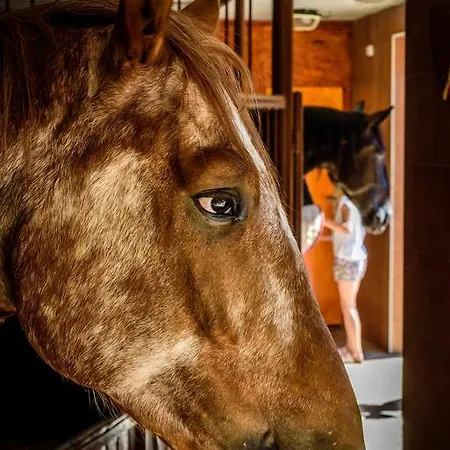 ゲストハウス U Bobiho 3*