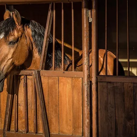 ゲストハウス U Bobiho