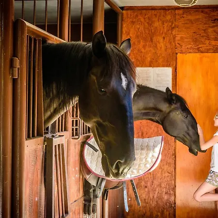 ゲストハウス U Bobiho Nový Tekov