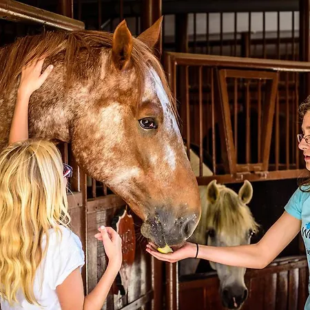 Gasthuis U Bobiho 3*