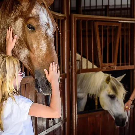 ゲストハウス U Bobiho Nový Tekov