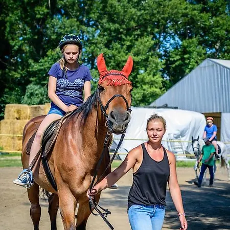 Gasthuis U Bobiho Novy Tekov