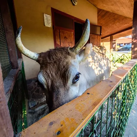 ゲストハウス U Bobiho