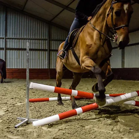 ゲストハウス U Bobiho Nový Tekov