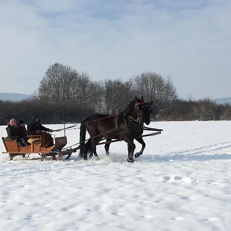 U Bobiho Novy Tekov